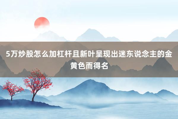 5万炒股怎么加杠杆且新叶呈现出迷东说念主的金黄色而得名
