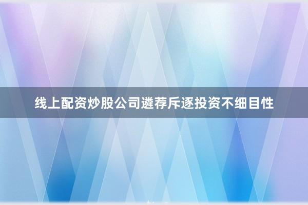 线上配资炒股公司遴荐斥逐投资不细目性