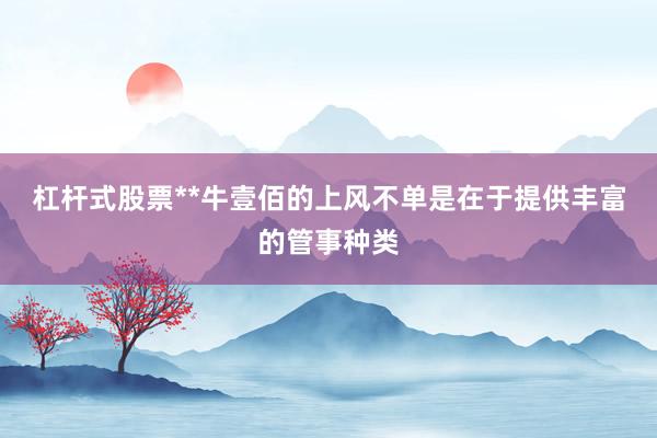 杠杆式股票**牛壹佰的上风不单是在于提供丰富的管事种类