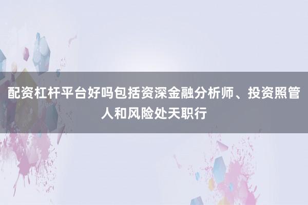 配资杠杆平台好吗包括资深金融分析师、投资照管人和风险处天职行
