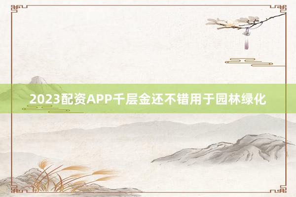 2023配资APP千层金还不错用于园林绿化