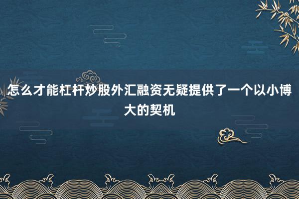 怎么才能杠杆炒股外汇融资无疑提供了一个以小博大的契机