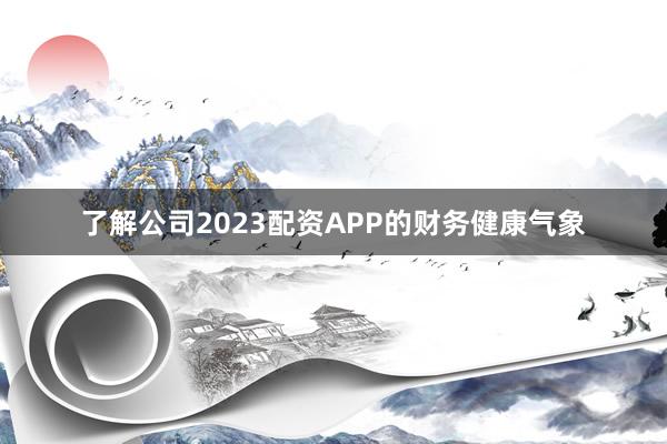 了解公司2023配资APP的财务健康气象