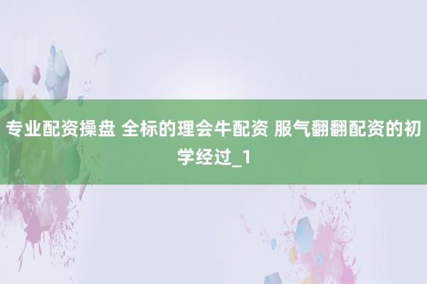 专业配资操盘 全标的理会牛配资 服气翻翻配资的初学经过_1