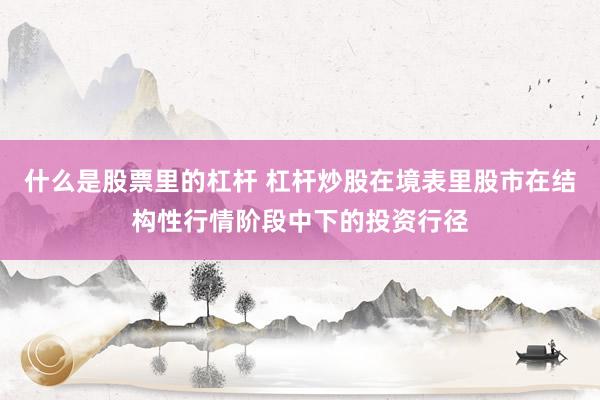 什么是股票里的杠杆 杠杆炒股在境表里股市在结构性行情阶段中下的投资行径