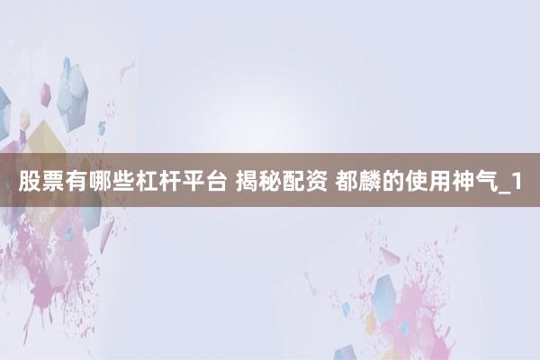 股票有哪些杠杆平台 揭秘配资 都麟的使用神气_1
